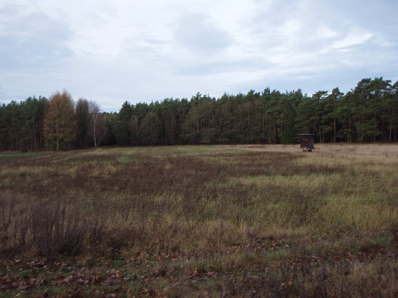 CTF Celle 084